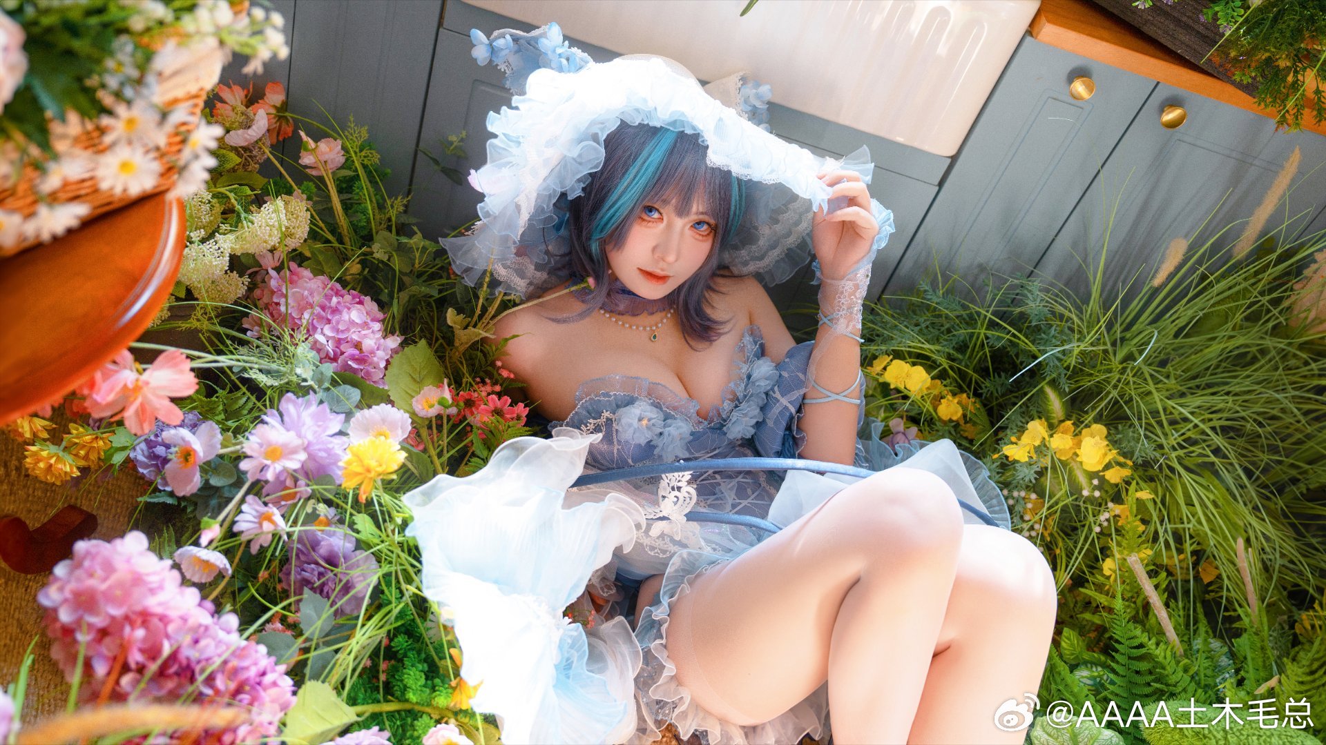 COSPLAY 阳光下的柴郡猫猫也太可爱了 碧蓝航线 柴郡@AAAA土木毛总-阿呆博客